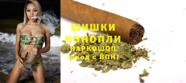 spice Аркадак