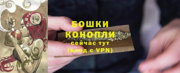 ПСИЛОЦИБИНОВЫЕ ГРИБЫ Белокуриха