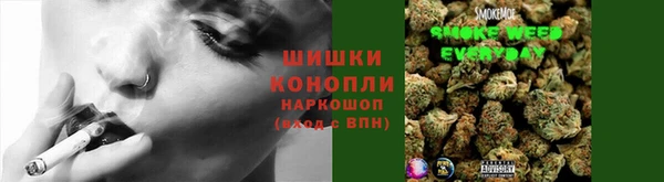 ALPHA PVP Беломорск