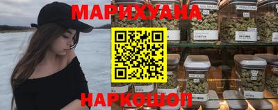 индика Будённовск