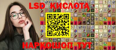 индика Будённовск