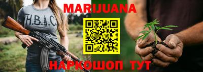 индика Будённовск