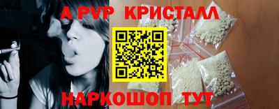 индика Будённовск