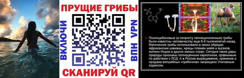 купить мега ССЫЛКА Псилоцибиновые грибы MAGIC MUSHROOMS Новомосковск