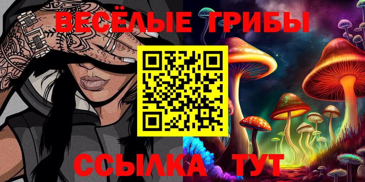 Галлюциногенные грибы GOLDEN TEACHER Новомосковск